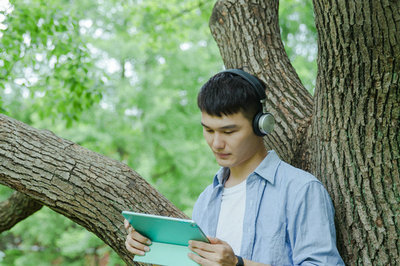 音乐与舞蹈学在职研究生